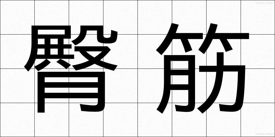 臀筋 (でんきん)