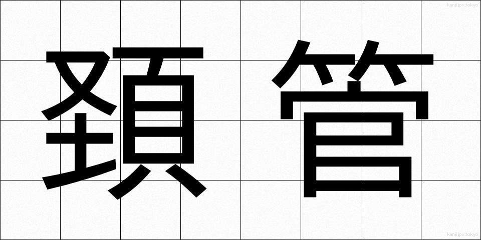 頚管 (けいかん)