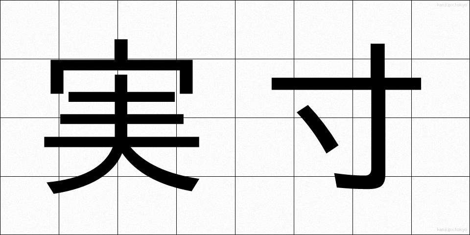 実寸 (じっすん)