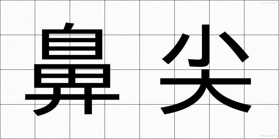 鼻尖 (びせん)