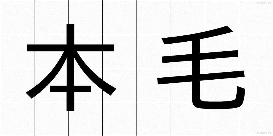 本毛 (ほんもう)