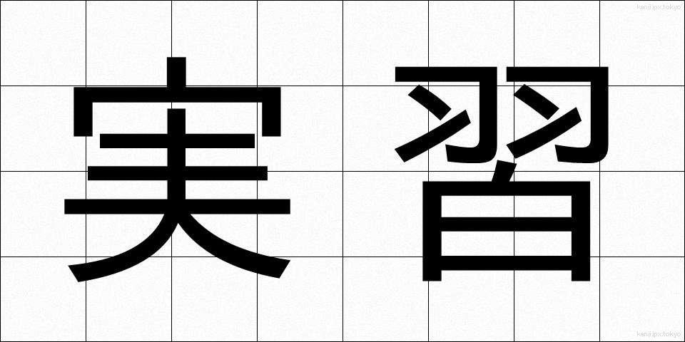 実習 (じっしゅう)