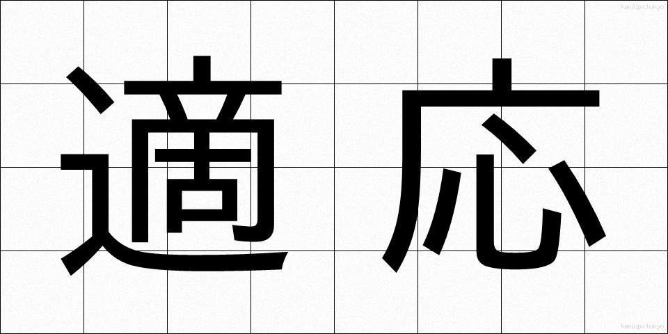 適応 (てきおう)