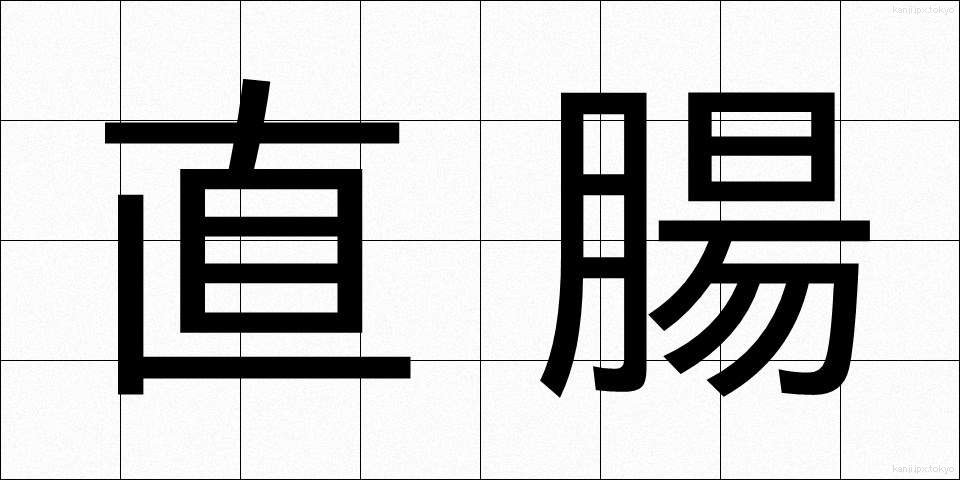 直腸 (ちょくちょう)