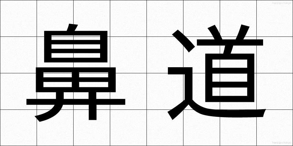 鼻道 (びどう)