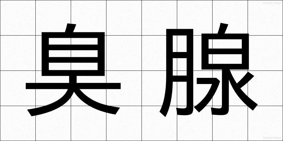臭腺 (しゅうせん)