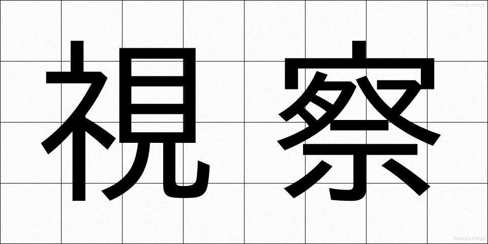 視察 (しさつ)