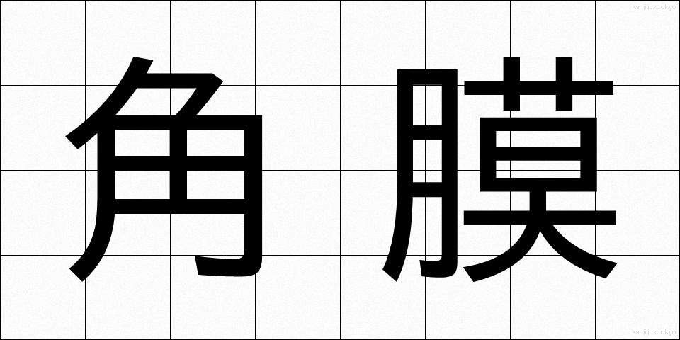 角膜 (かくまく)
