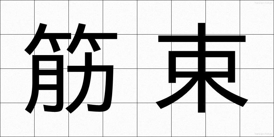 筋束 (きんそく)