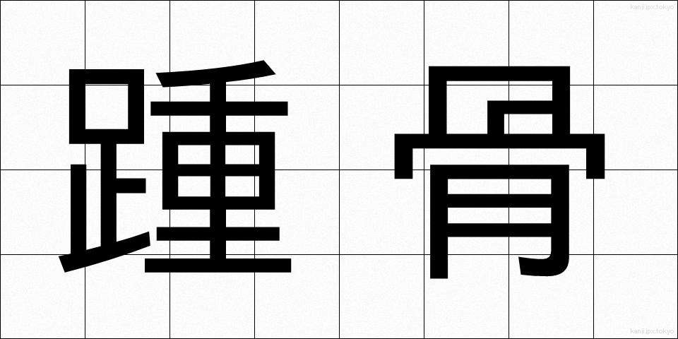 踵骨 (しょうこつ)