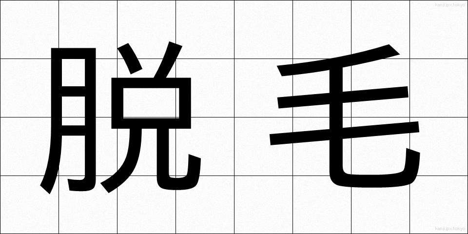 脱毛 (だつもう)