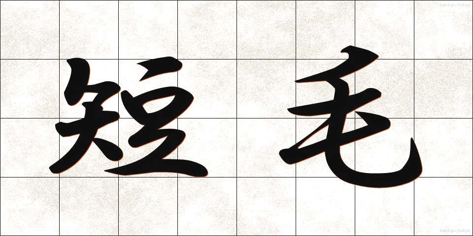 短毛 (たんもう)