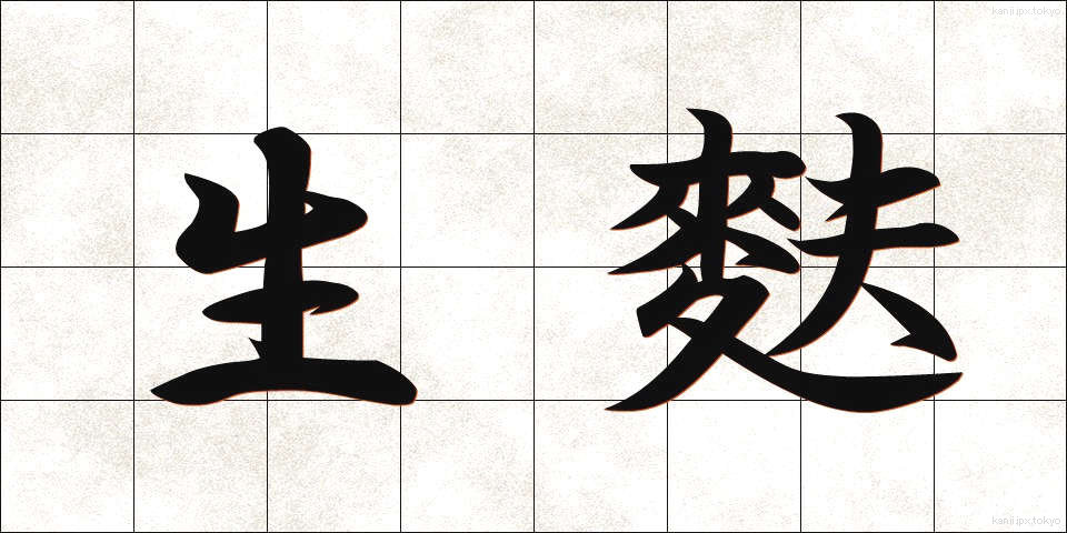 生麩 (しょうふ)