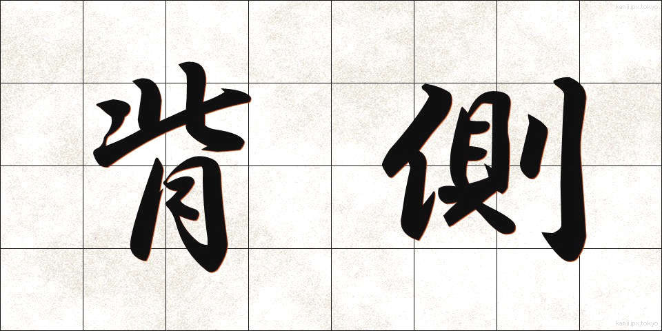 背側 (はいそく)