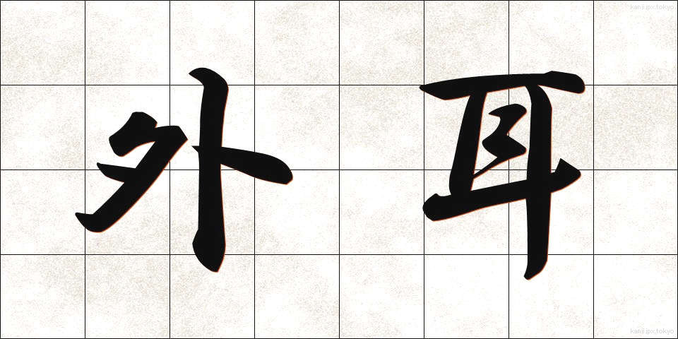 外耳 (がいじ)