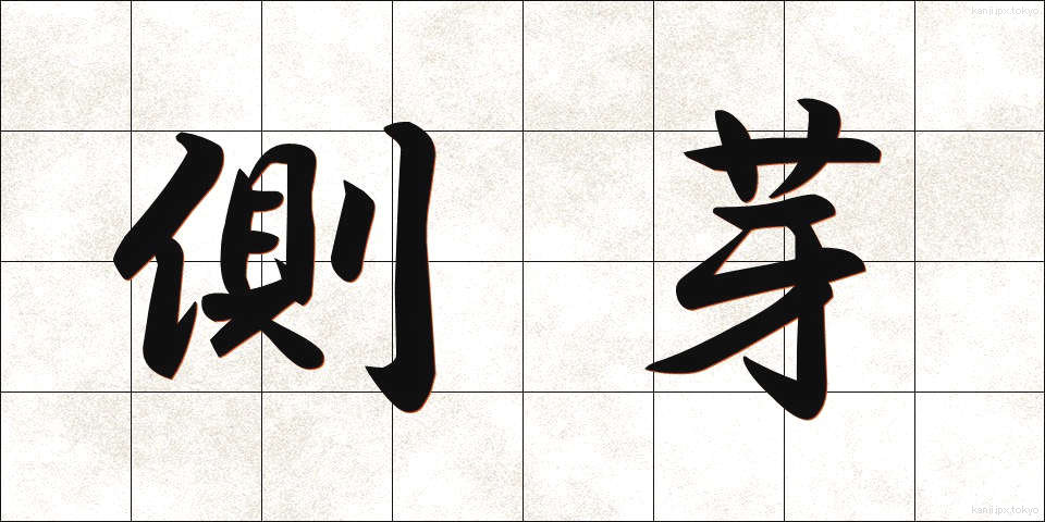 側芽 (そくが)