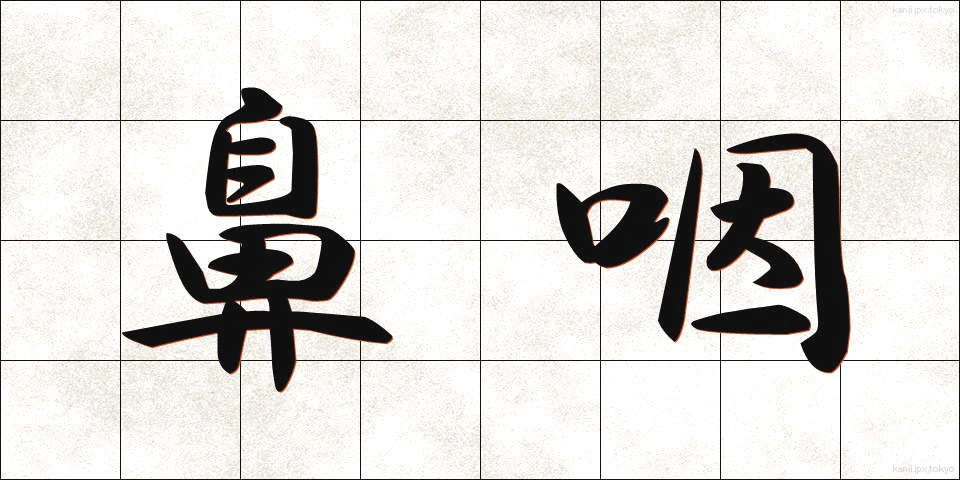 鼻咽 (びいん)