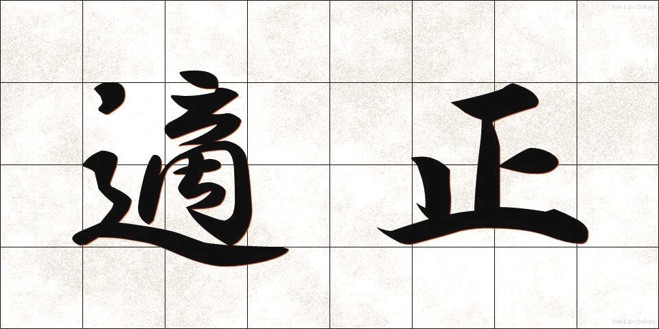 適正 (てきせい)