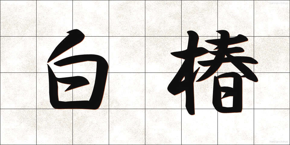 白椿 (しらつばき)
