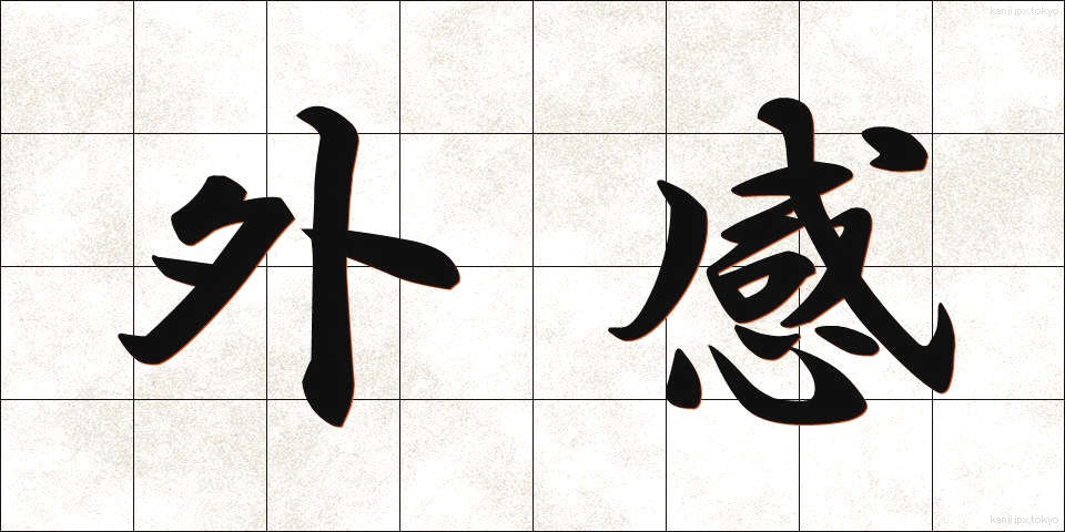 外感 (がいかん)