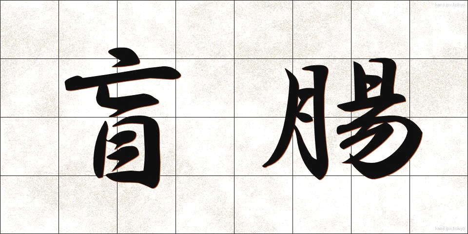 盲腸 (もうちょう)