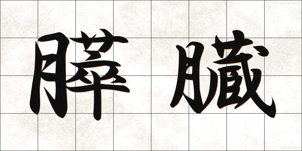 膵臓 (すいぞう)