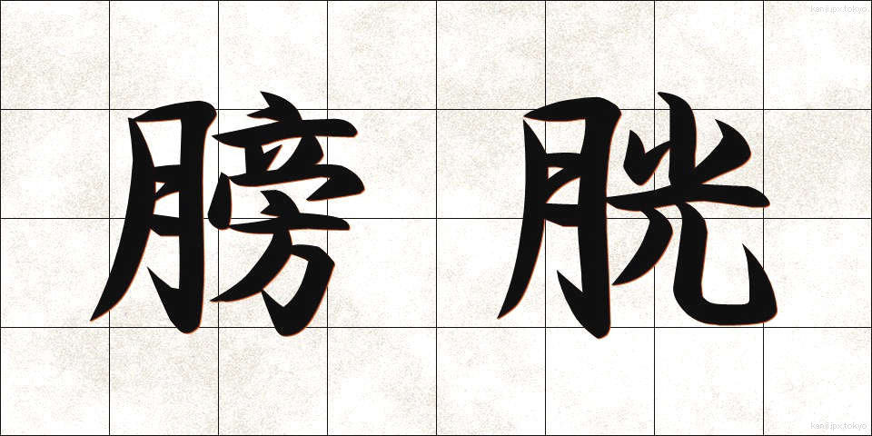 膀胱 (ぼうこう)