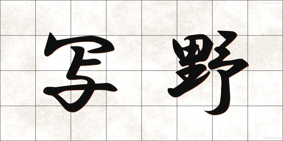 写野 (しゃや)