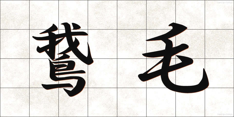鵞毛 (がもう)