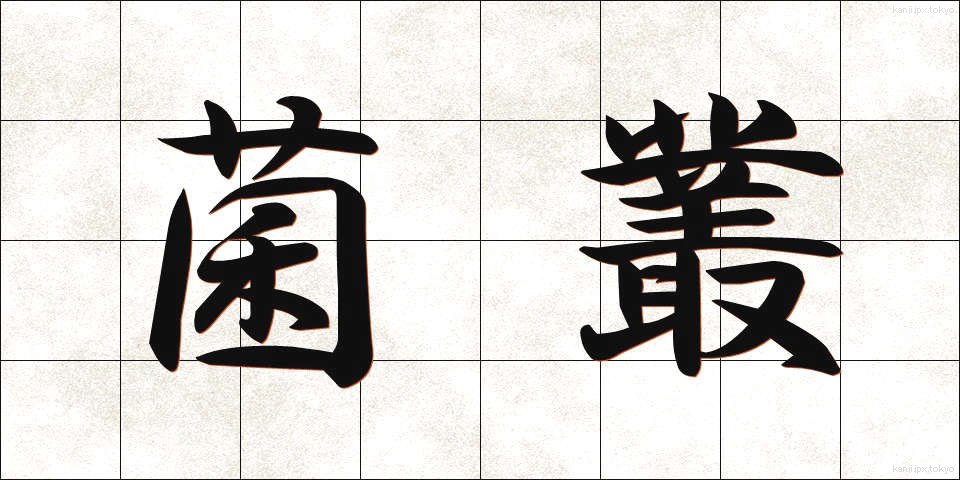 菌叢 (きんそう)