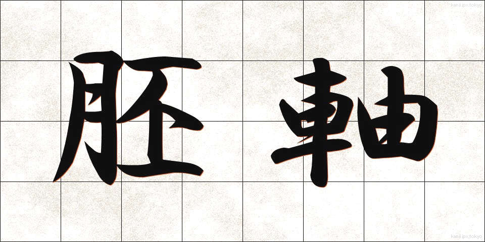 胚軸 (はいじく)
