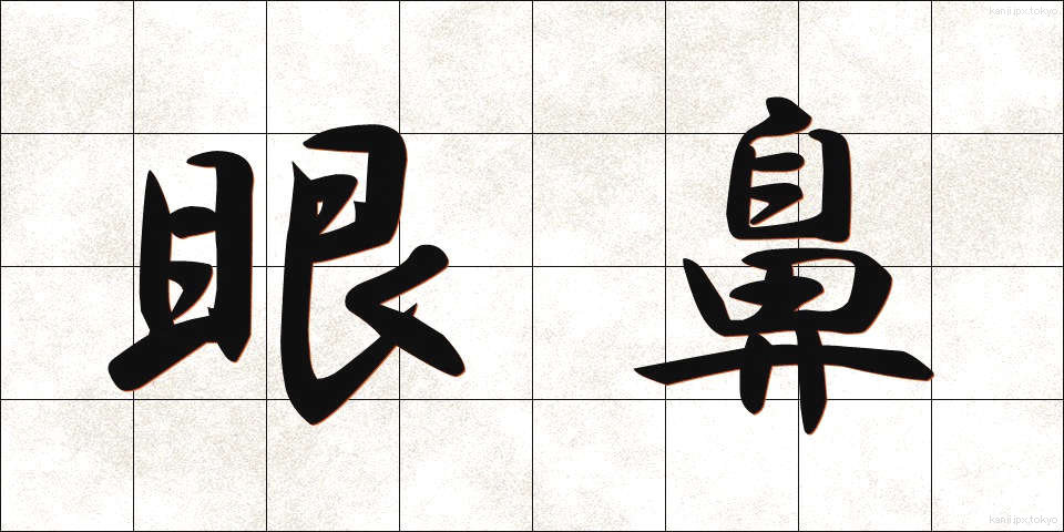 眼鼻 (がんび)