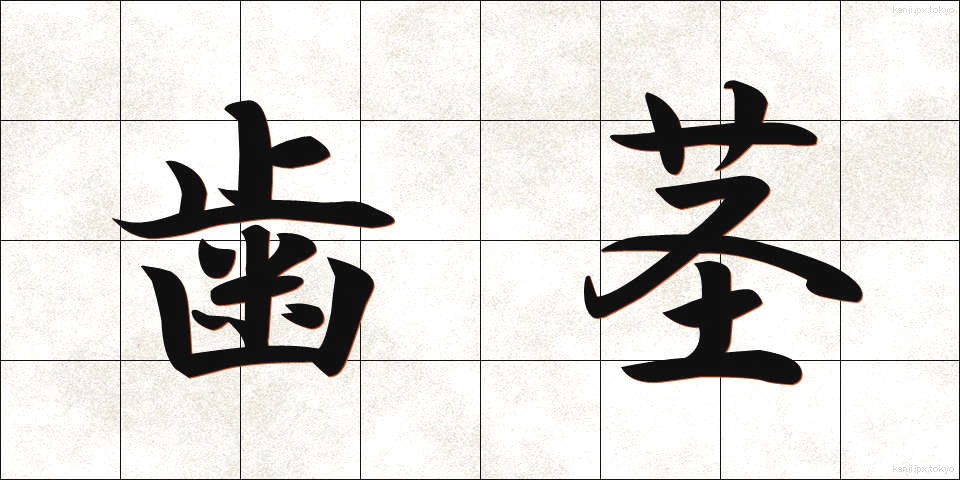 歯茎 (はぐき)