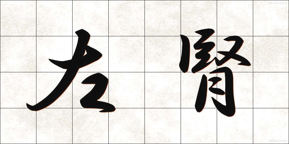 左腎 (さじん)