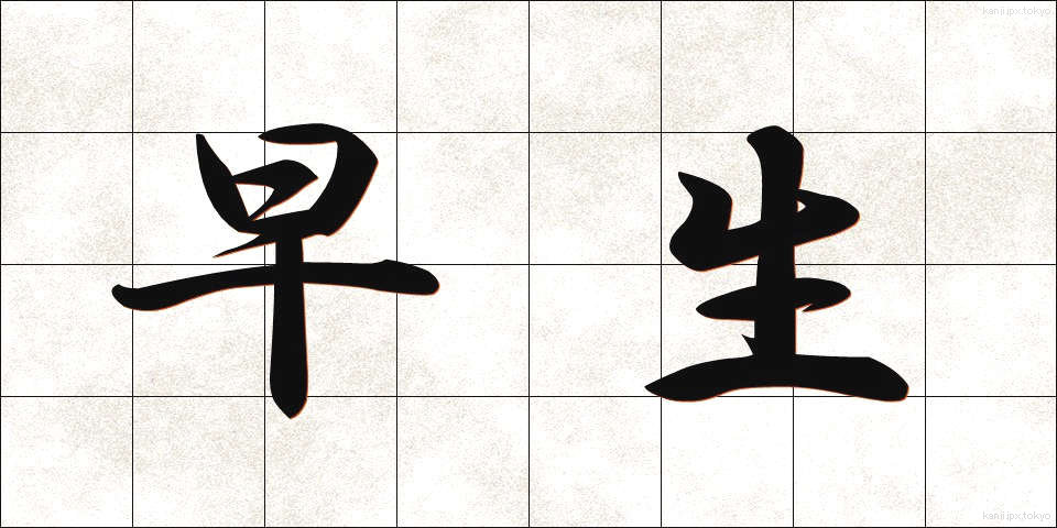 早生 (わせ)