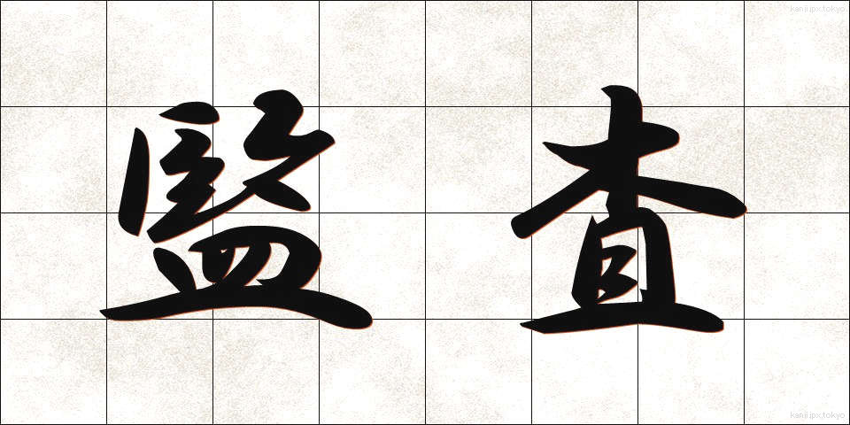 監査 (かんさ)