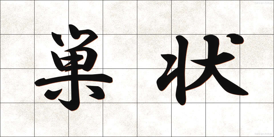 巣状 (すじょう)