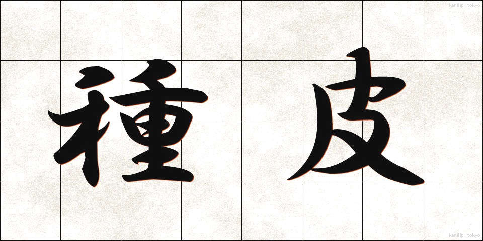 種皮 (しゅひ)