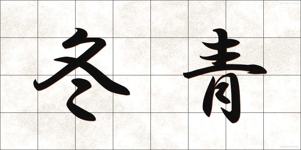 冬青 (ふゆあおい)