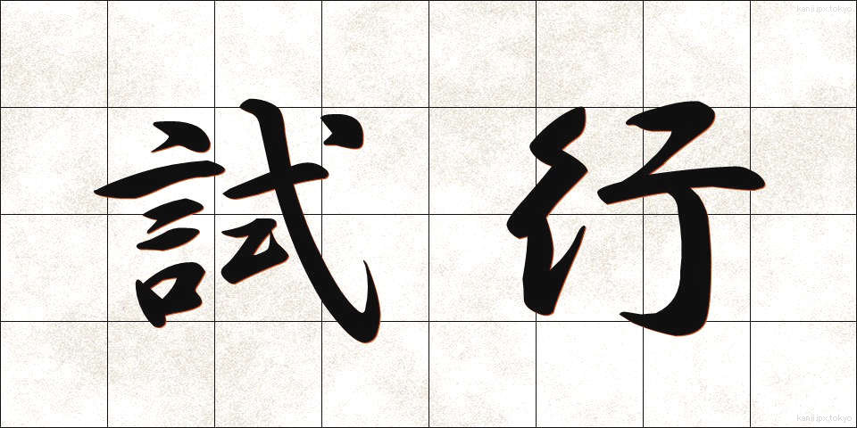 試行 (しこう)