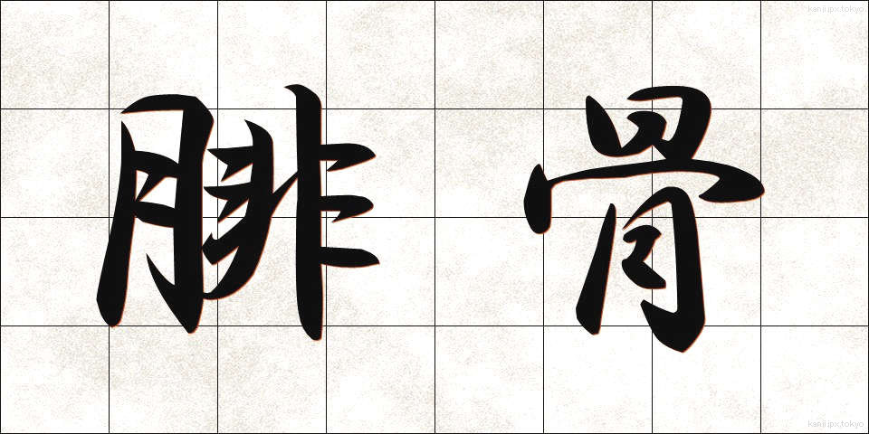 腓骨 (ひこつ)
