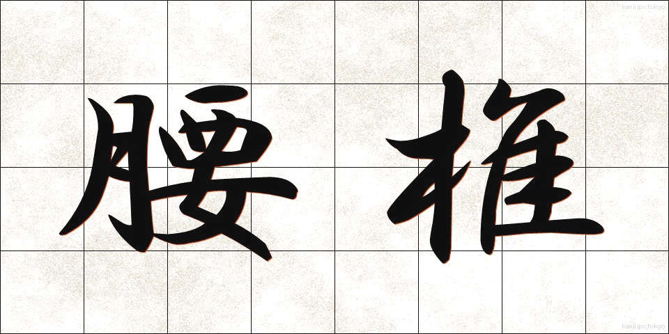 腰椎 (ようつい)