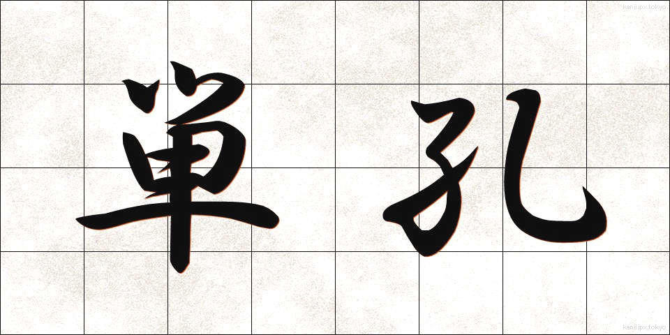 単孔 (たんこう)