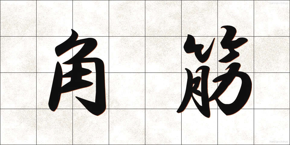 角筋 (かくすじ)