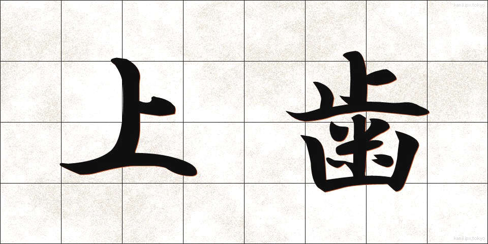 上歯 (じょうし)