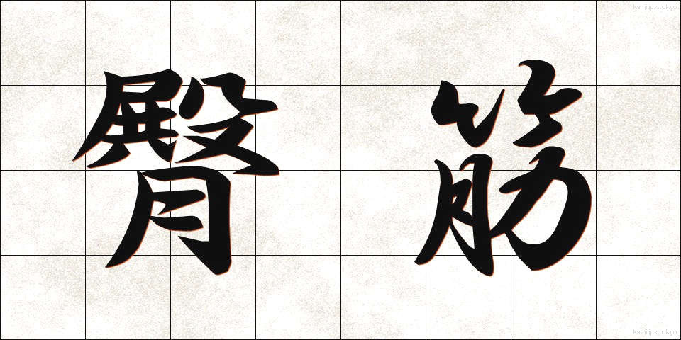 臀筋 (でんきん)