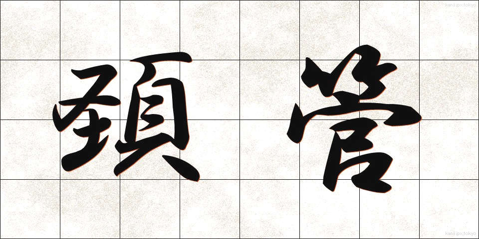 頚管 (けいかん)