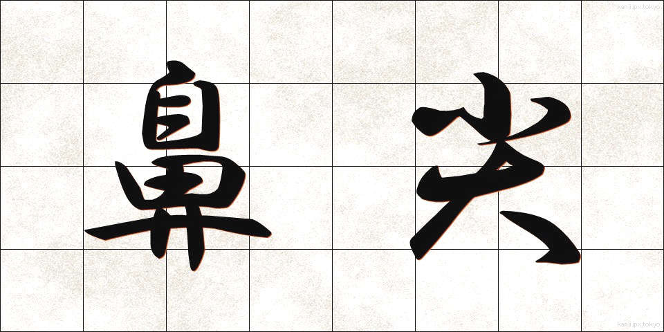 鼻尖 (びせん)