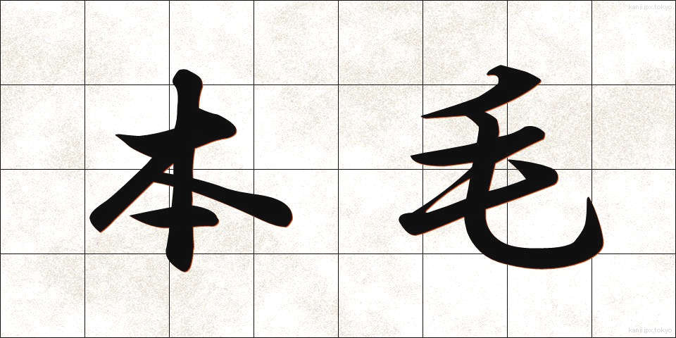 本毛 (ほんもう)