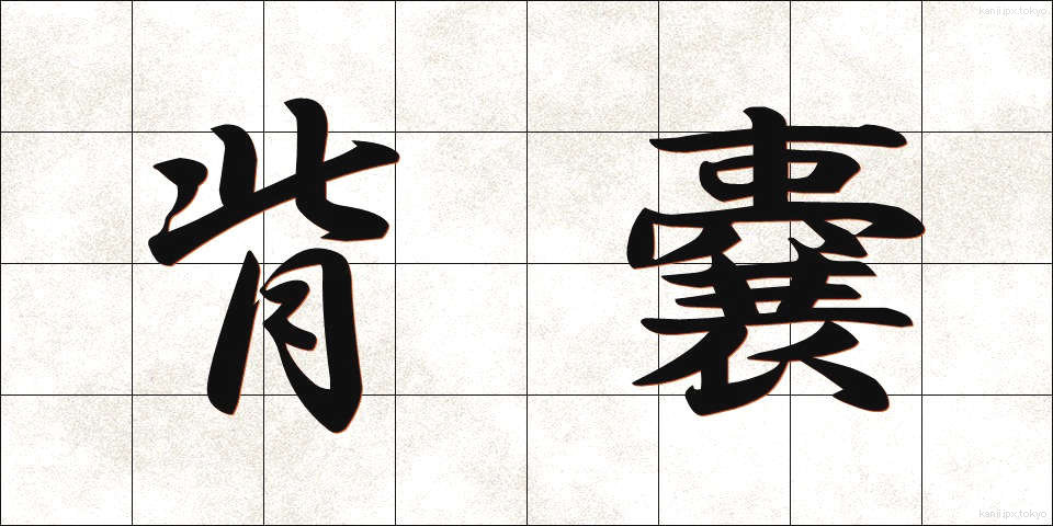 背嚢 (はいのう)